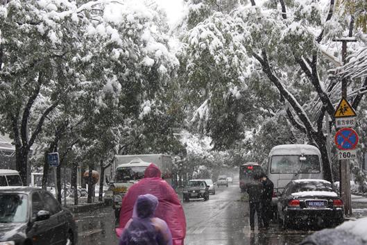 京城，好大的雪。2009年11月1日