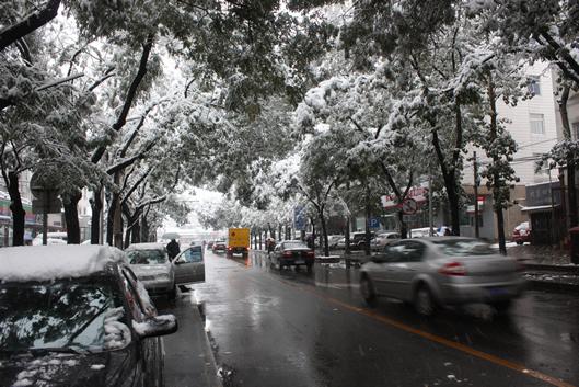 京城，好大的雪。2009年11月1日